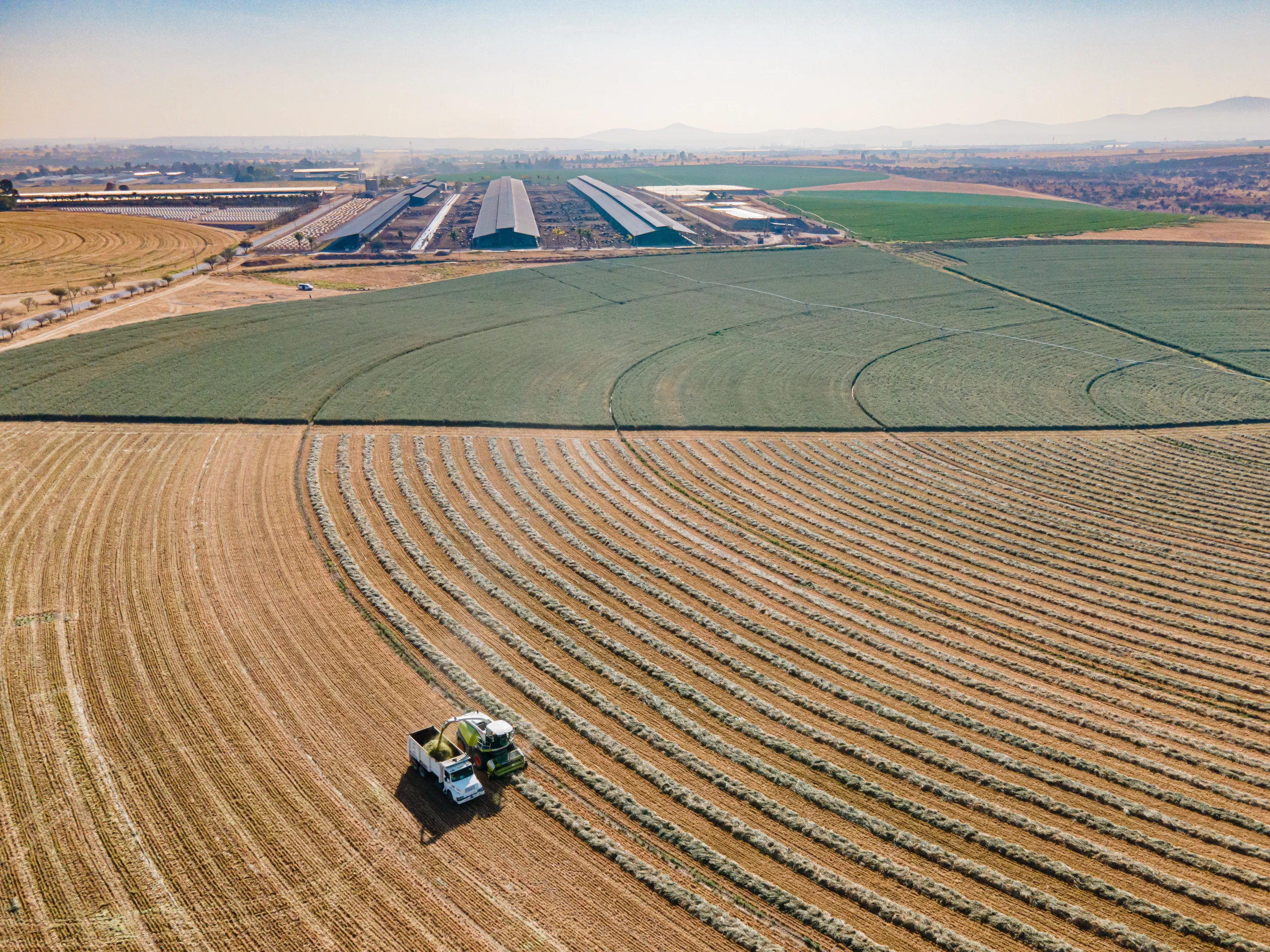 Garantiza la Trazabilidad de los Productos Agropecuarios